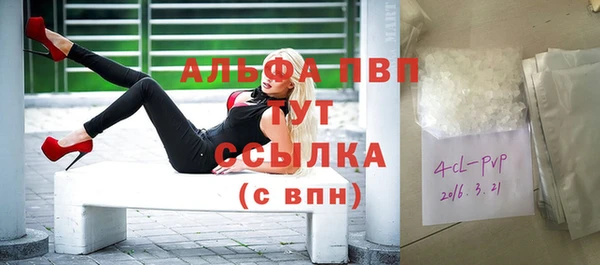прущий лед Абаза