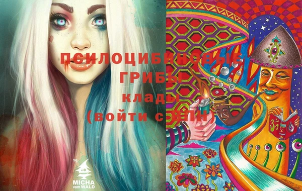 метамфетамин Алексеевка