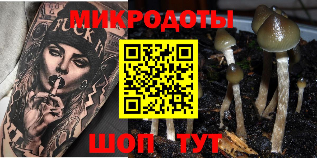 Галлюциногенные грибы мицелий  Вход с VPN  Псилоцибиновые грибы мицелий  Октябрьский 