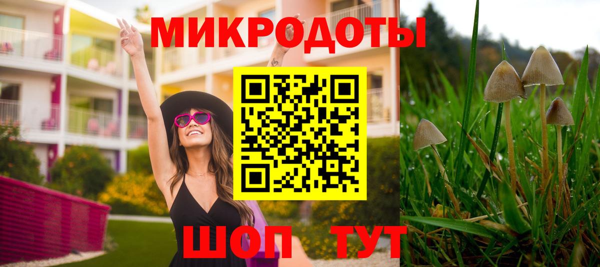 Галлюциногенные грибы ЛСД Октябрьский
