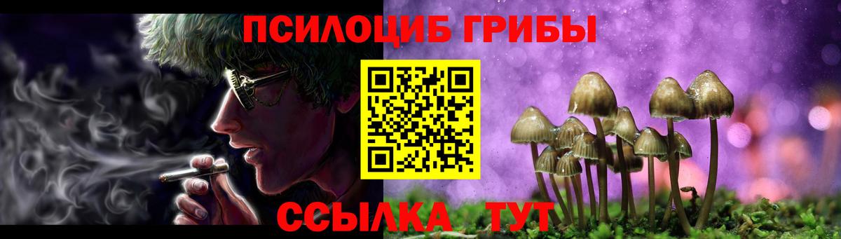 закладка  Псилоцибиновые грибы Psilocybe  Вход с VPN  Октябрьский 
