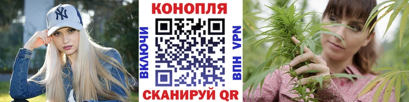 Бошки марихуана гибрид  Октябрьский 
