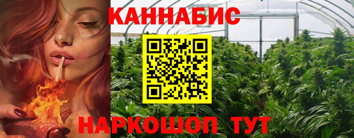 Бошки Шишки гибрид Октябрьский